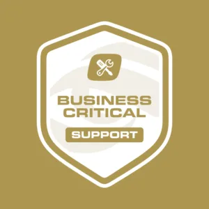 Business Critical Support